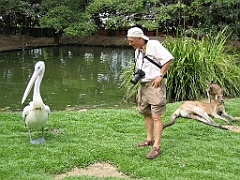 115 Port Douglas Wildlife Habitat